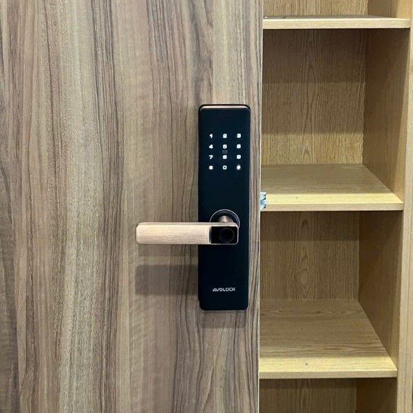 Khóa cửa vân tay Avolock AV60 - Khóa cửa vân tay Avolock chính hãng giá tốt