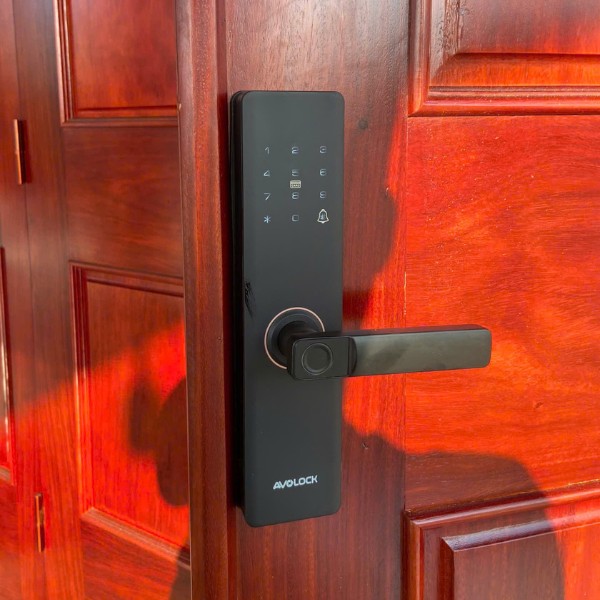 Khóa cửa vân tay Avolock AV60