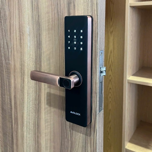 Khóa cửa vân tay Avolock AV60