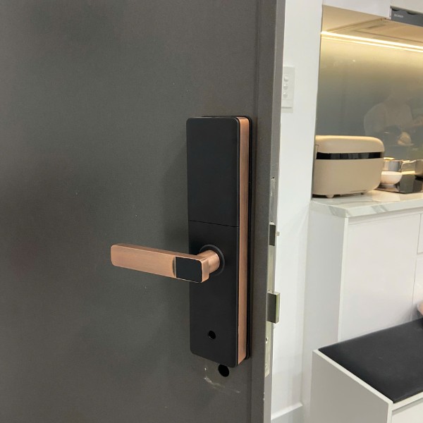 Khóa cửa vân tay Avolock AV60