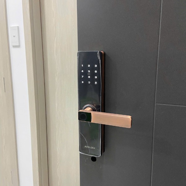 Khóa cửa vân tay Avolock AV60