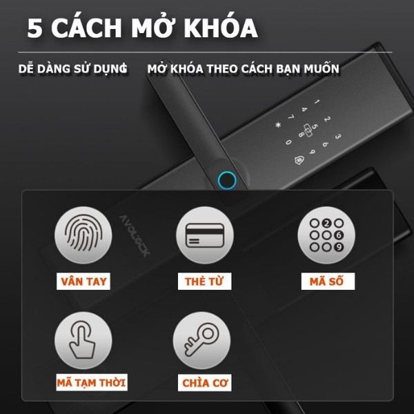 Khóa cửa vân tay Avolock AV62 app wifi