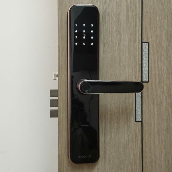 Khóa cửa vân tay Avolock AV65 app wifi