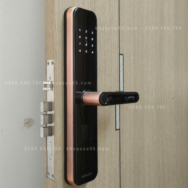 Khóa cửa vân tay Avolock AV65 app wifi