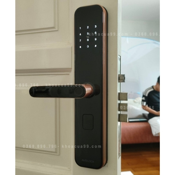 Khóa cửa vân tay Avolock AV65 app wifi