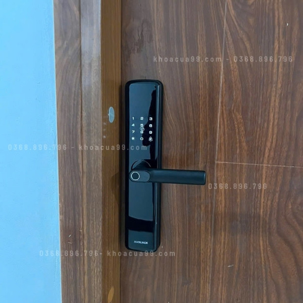 Khóa cửa vân tay Avolock AV66 app wifi