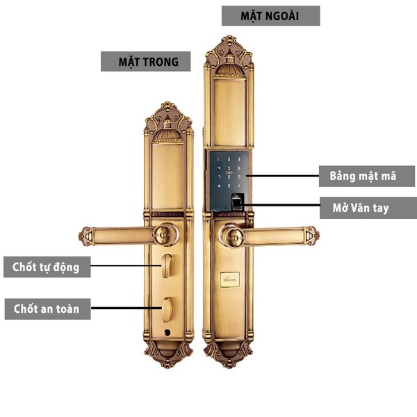 Khoá vân tay đại sảnh biệt thự Demax EL822