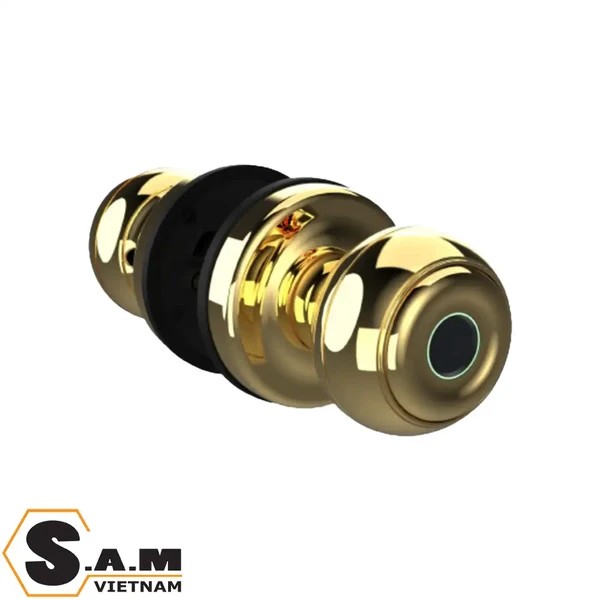 Khoá vân tay cửa phòng Demax SL106 (tay nắm tròn)