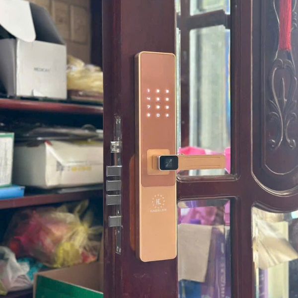 Khóa cửa vân tay Kassler KL567 PRO CNC Gold