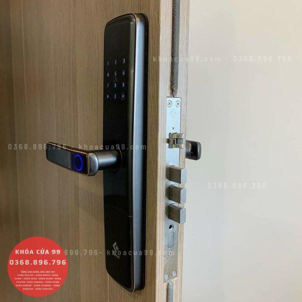 Khóa cửa vân tay cao cấp Kitos KT G900 Plus