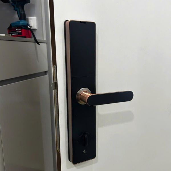 Khóa cửa vân tay Kardos SmartLock L8 Viền Đồng